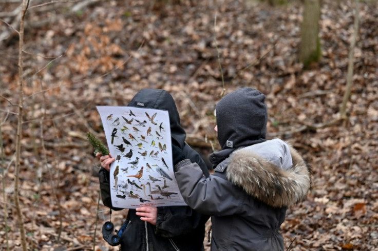 Danish preschool children do a bit of birdwatching in the woods