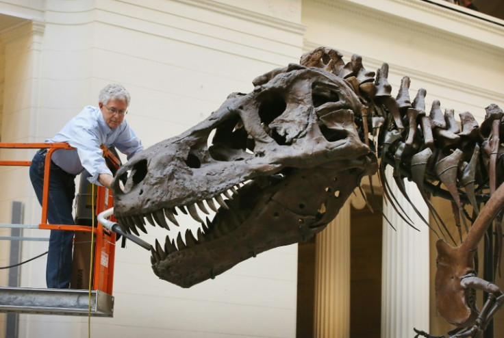 T-Rex skeleton Sue went under the hammer in 1997 for $8.4 million