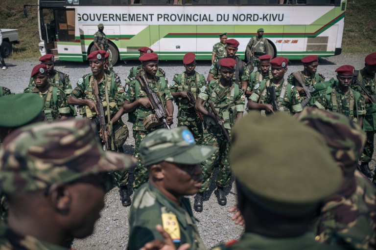 Diplomatic Push Sparks Little Hope For Ending DR Congo Insurgency | IBTimes