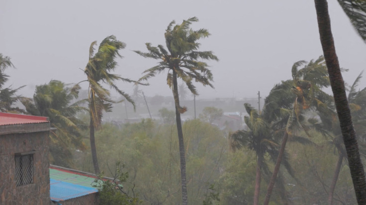 Branches of trees sway as cyclone Freddy hits, in Quelimane