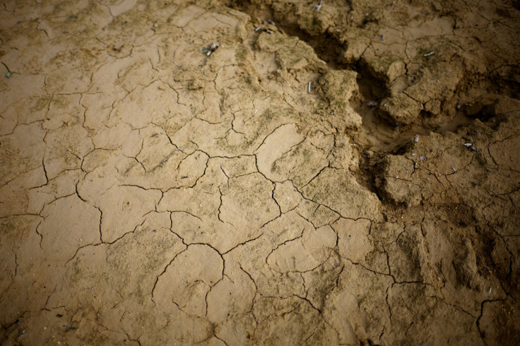 French lake dries up due to winter drought, threatening farming and tourism