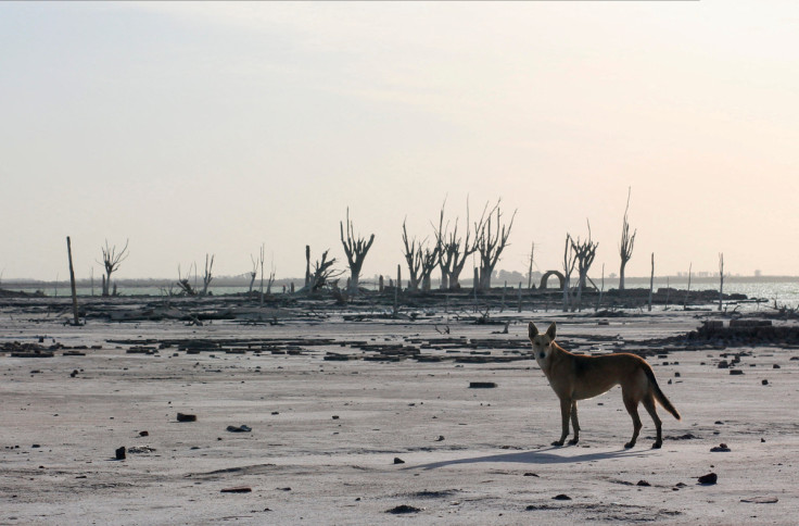 Argentina's severe drought affects landscapes