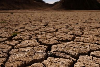 Extreme drought in the reservoirs of Catalonia