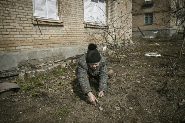 Galyna's garden is an unmarked patch of land at the back of her three-story apartment building
