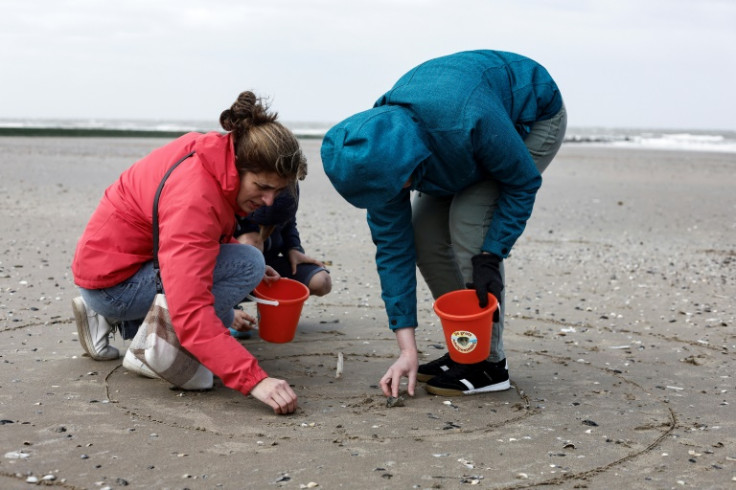 While there is a serious scientific purpose to the exercise, it is also a fun day out for families