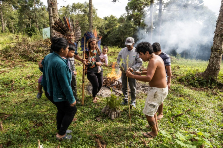 The Xokleng perform a ritual to protect the seedlings