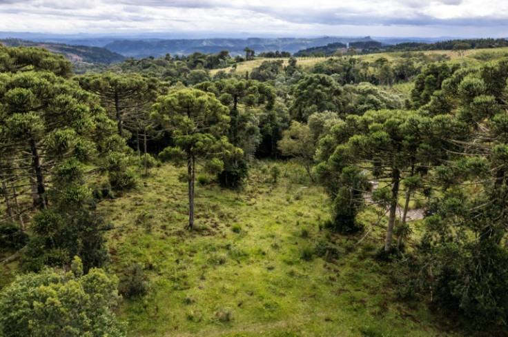 An aerial view of the Ibirama-Laklano Indigenous reservation, in southern Brazil