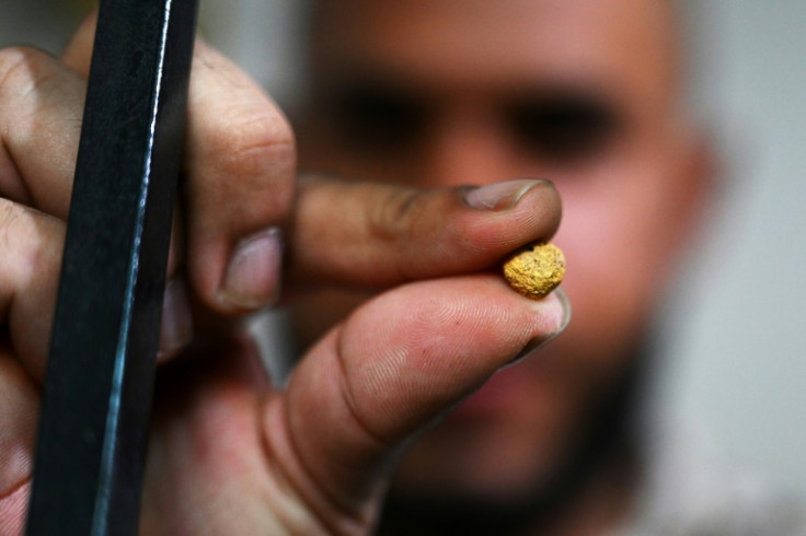 A man shows a gold nugget at a trading house in El Bagre in Colombia's Bajo Cauca region