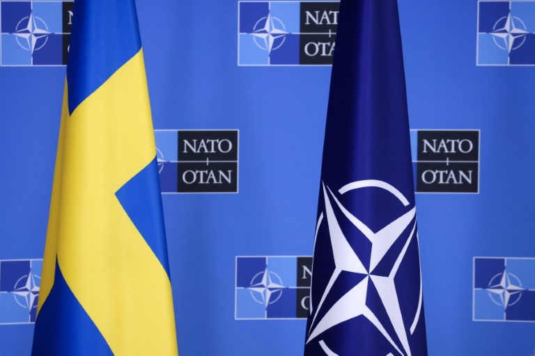 Long NATO Delay Spells Trouble For Sweden And Alliance: Experts Long NATO Delay Spells Trouble For Sweden And Alliance: Experts