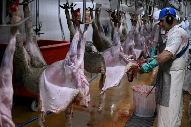 Every part of the lambs is used including their wool
