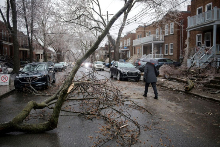 A person walks around fallen tree branches and power lines in Monkland Village after freezing rain hit Quebec and Ontario in Montreal, Canada