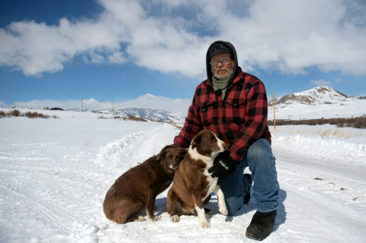 Colorado ranch manager Greg Sykes lost one of his beloved sheepdogs to wolves in a fatal attack barely 30 yards from his farm's porch