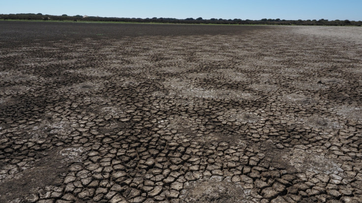 The lagoon of Santa Olalla is seen dried out at Donana National Park, southern Spain