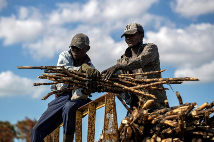 Without ID papers, sugarcane workers in the Dominican Republic have little hope of bettering their lives
