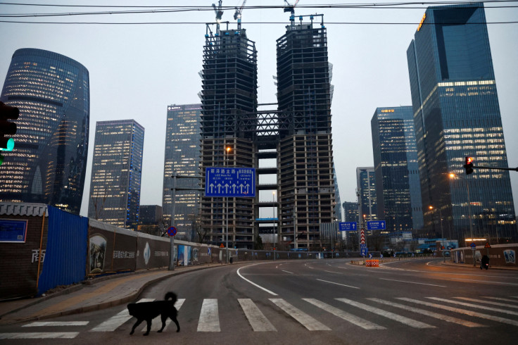 Dog crosses a road at a financial district with buildings under construction, in Beijing