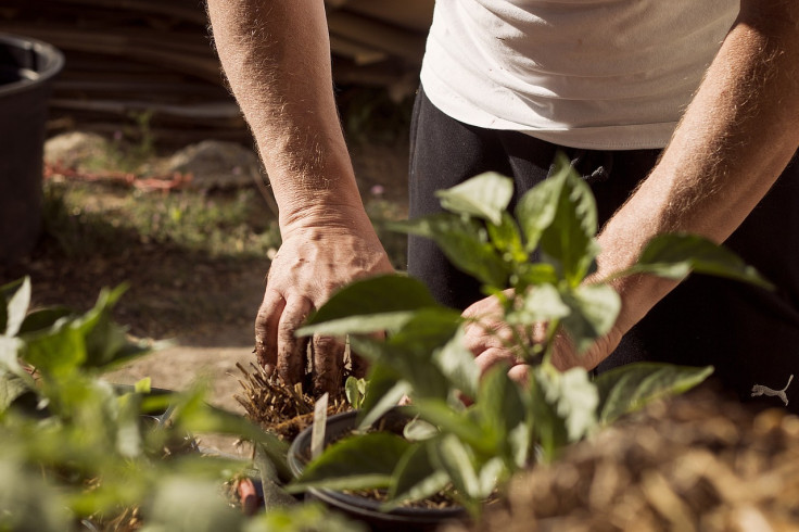 Tending to the earth