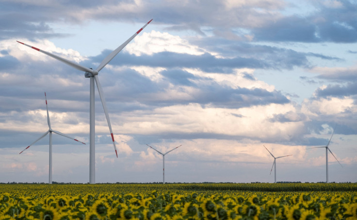 Wind turbines are seen in sunflower field during sunset outside Ulyanovsk