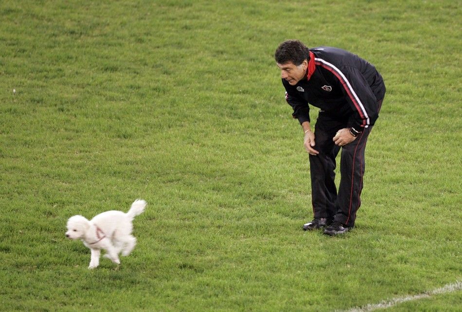 Miguel Brindisi, head coach of Mexicos Atlas, watches a dog during a training session at Velez Sarsfield stadium in Buenos Aires