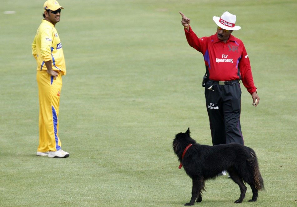 Umpire Hariharan orders dog off pitch in IPL Twenty20 cricket tournament between Mumbai Indians and Chennai Super Kings in Cape Town