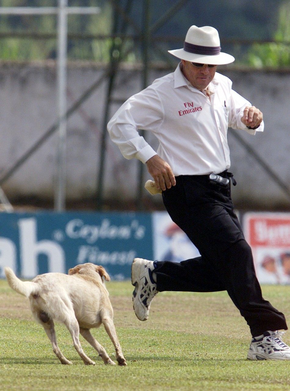 Australian umpire Darrel Harper chases off Stray Dog at second test between Sri Lanka and New Zealand in Kandy.