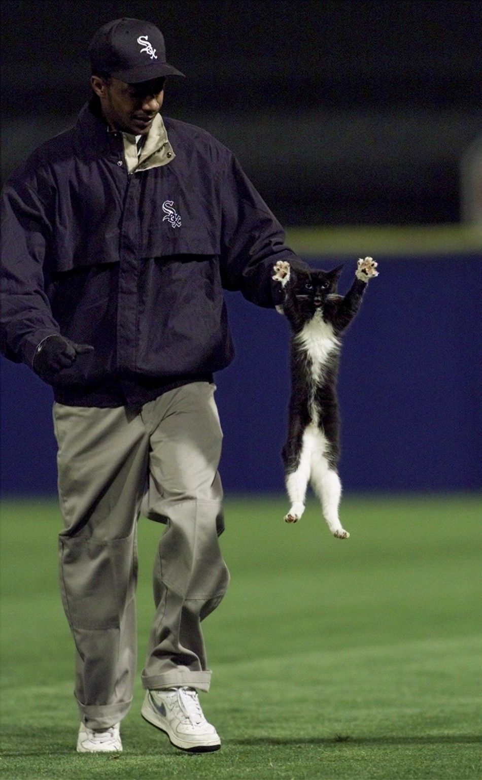 White Sox Grounds crew removes cat from field