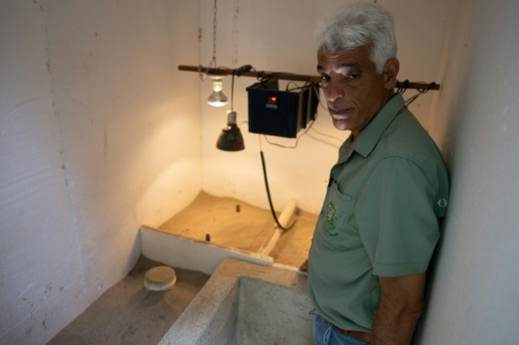 Conservationist Federico Pantin works with hatchlings of the Orinoco Crocodile