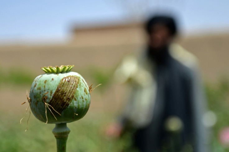 The lucrative trade of poppy tar has been one of the few constants over decades of war and chaos in Afghanistan
