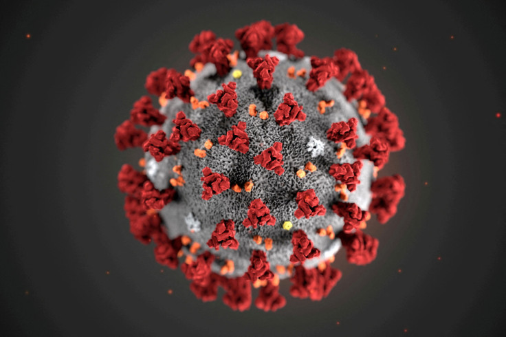 An illustration, created at the Centers for Disease Control and Prevention (CDC), depicts the 2019 Novel Coronavirus