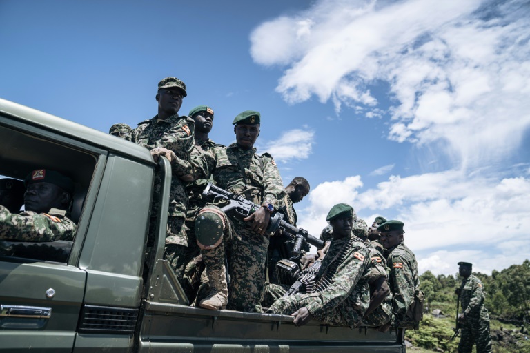 Southern African Troops To Deploy Against Rebels In East DRCongo | IBTimes