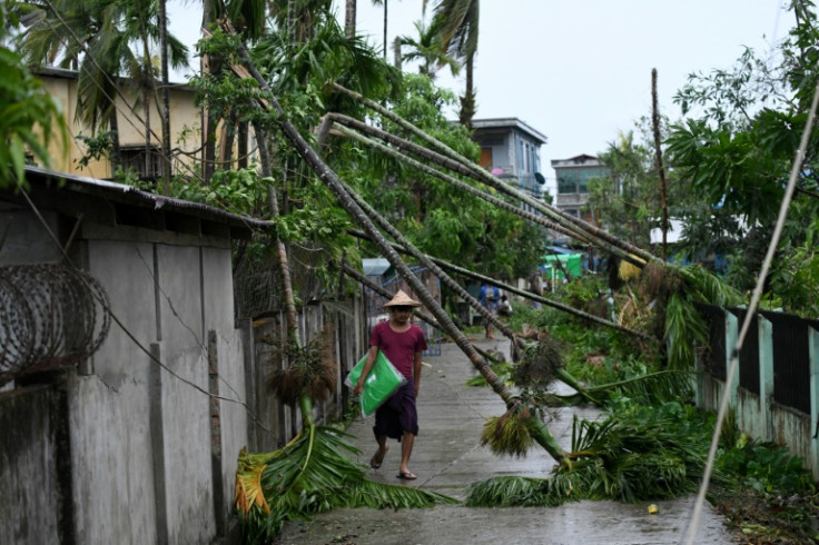 A man walks past fallen trees after Cyclone Mocha crashed ashore, in Kyauktaw in Myanmar's Rakhine state on May 14, 2023