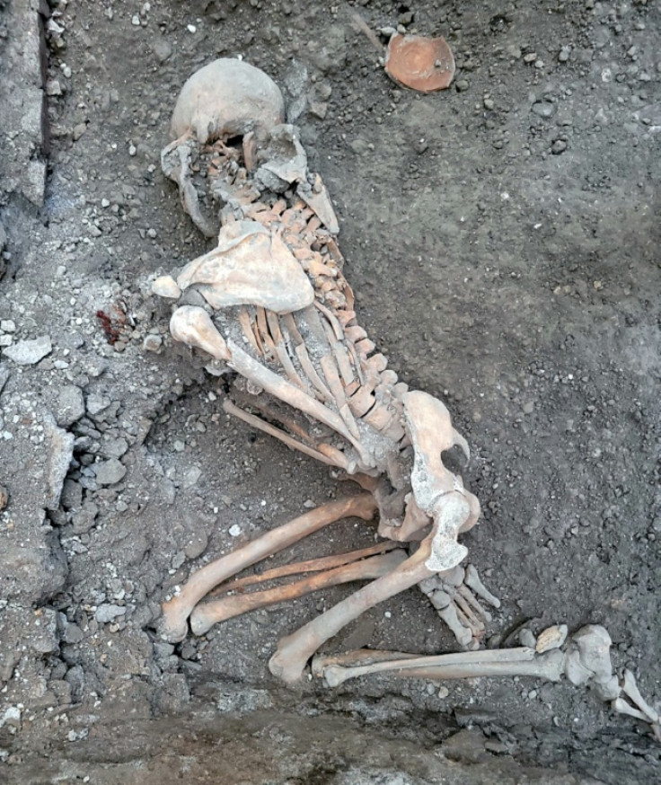 The recently found skeletons are likely of middle-aged males