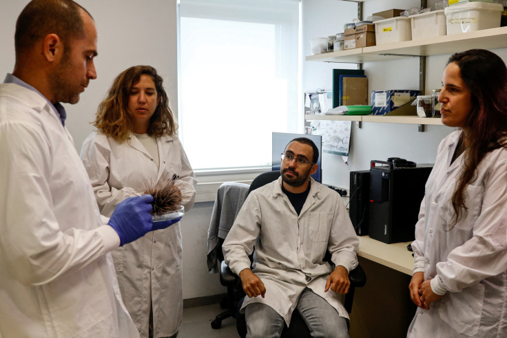 Dr. Omri Bronstein of Tel Aviv University's Steinhardt Museum of Natural History and School of Zoology speaks with his research team at a laboratory in Tel Aviv