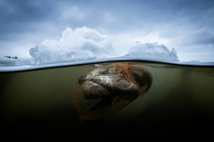 Millions tonnes of waste is dumped in the environment or improperly burned, polluting the air