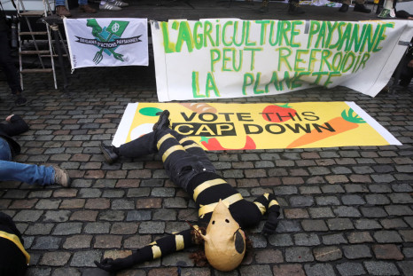 Protest before the vote of the CAP (Common Agricultural Policy in Europe) in Brussels