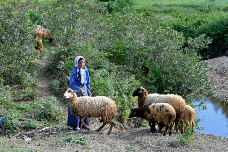 Permaculture aims to work in harmony with the environment, keep soil structures intact and do without artificial inputs like chemical fertilisers or pesticides