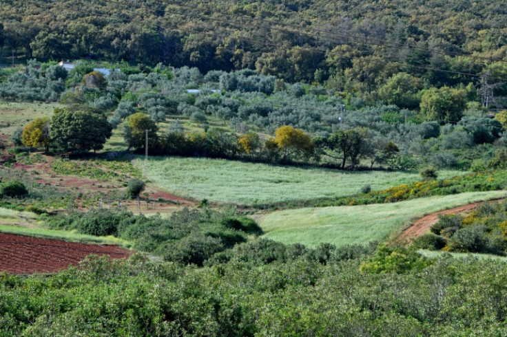 Planet-friendly farming like permaculture is especially useful in Tunisia where an unprecedented drought has parched the countryside and left water reservoirs at dangerously low levels