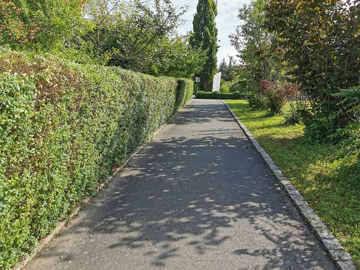 Hedge, plants, landscaping, garden, trees, street,