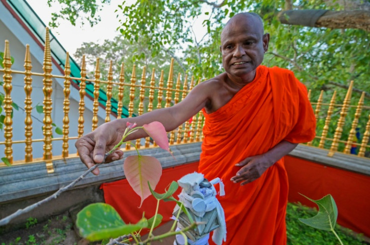 Chief monk Pallegama Hemarathana alerted the government to the purported threats posed to the sacred bodhi tree