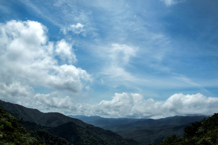 No silver linings: these days, clouds mainly cling to the highest peaks over the former 'cloud forest' and sunny days have multiplied