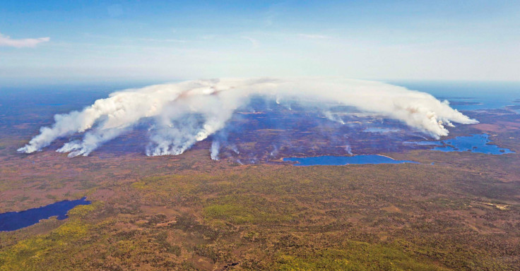 Aerial view of wildfire in Shelburne County, Nova Scotia