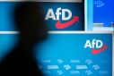 Long an anti-immigration party, the Alternative for Germany (AfD) has scaled new heights in national polls as discontent with the government in Berlin and its climate agenda grows