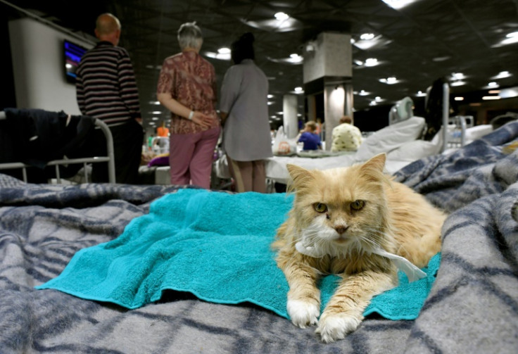 Non-human residents have also been evacuated to Belgorad