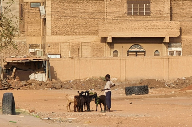 A boy watches over goats out in the open in southern Khartoum, despite the fighting