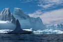 Large iceberg drifts off the coast of Newfoundland