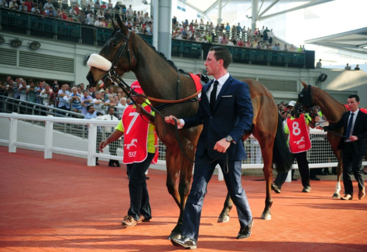 The parade ring at Kranji in 2015