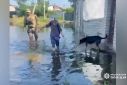 A person wades through floodwaters as police officers, together with rescuers of the State Emergency Service, conduct patrols and help citizens evacuate to safe places, in Kherson region