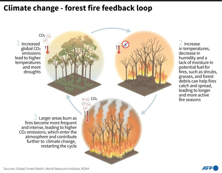 Graphic showing how increased global emissions can lead to more fire-prone conditions and how more fires can lead to higher emissions, which perpetuates the cycle