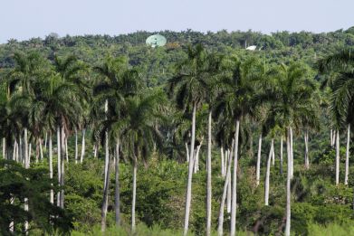 A view of a Cuban military base near Bejucal, Cuba
