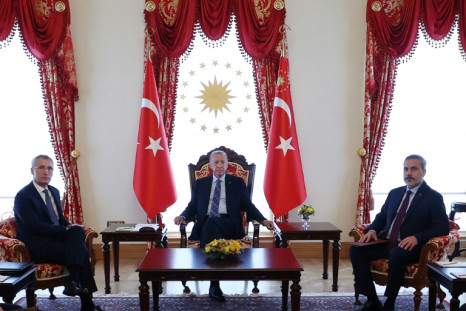 NATO chief Jens Stoltenberg discussed Sweden with Turkey's Recep Tayyip Erdogan this month