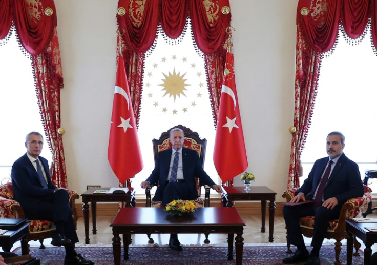 NATO chief Jens Stoltenberg discussed Sweden with Turkey's Recep Tayyip Erdogan this month